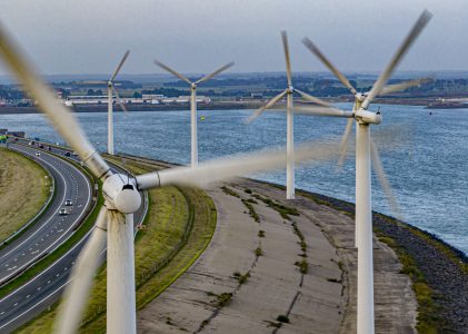 Steeds vaker maatregelen om vogels tegen windparken te beschermen