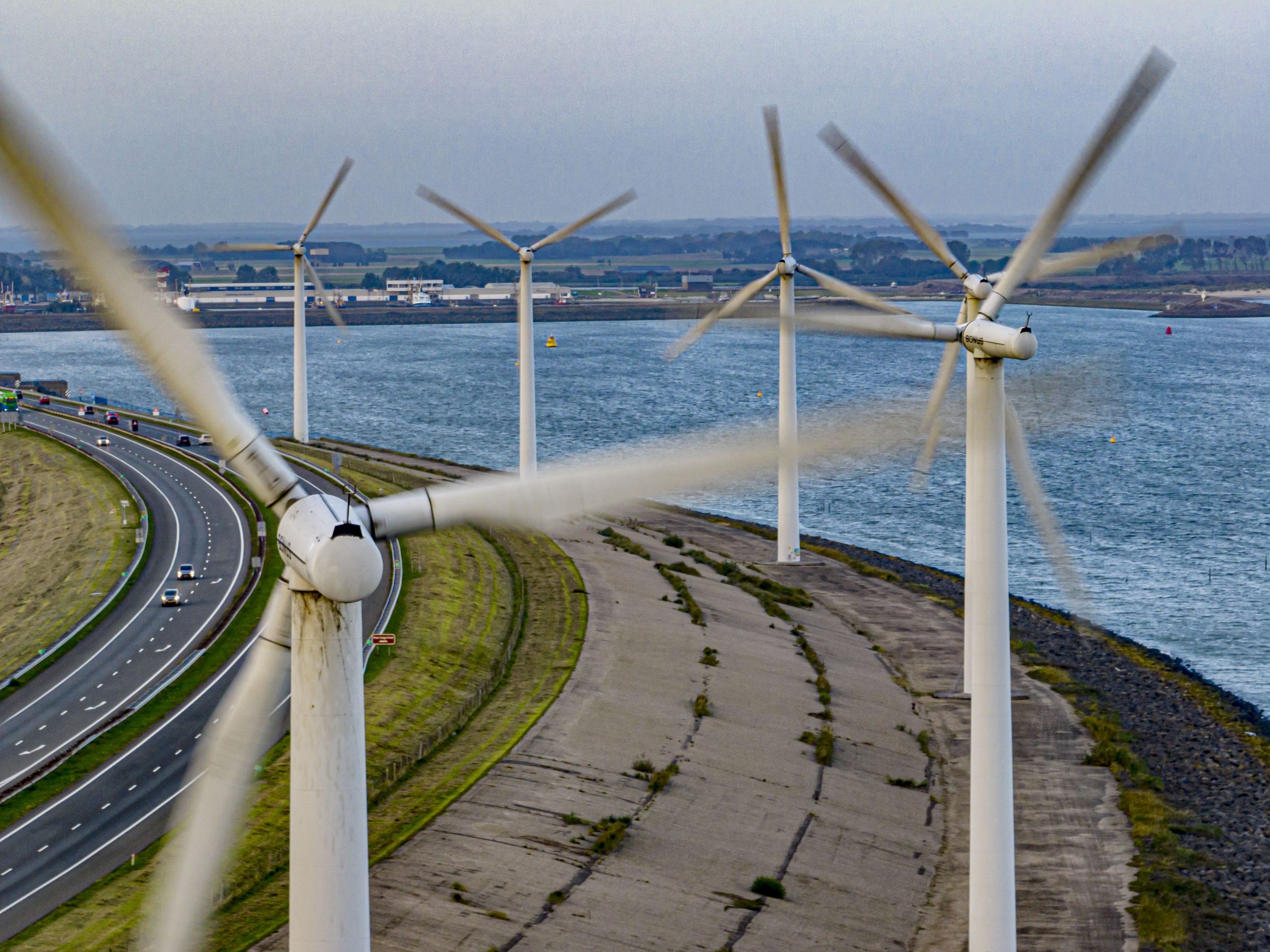 Steeds vaker maatregelen om vogels tegen windparken te beschermen