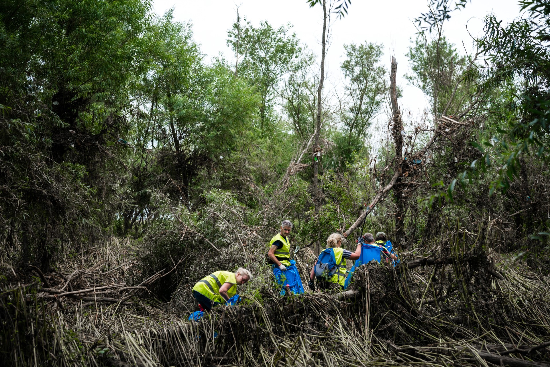 Boswachters voeren campagne om in actie te komen voor de natuur