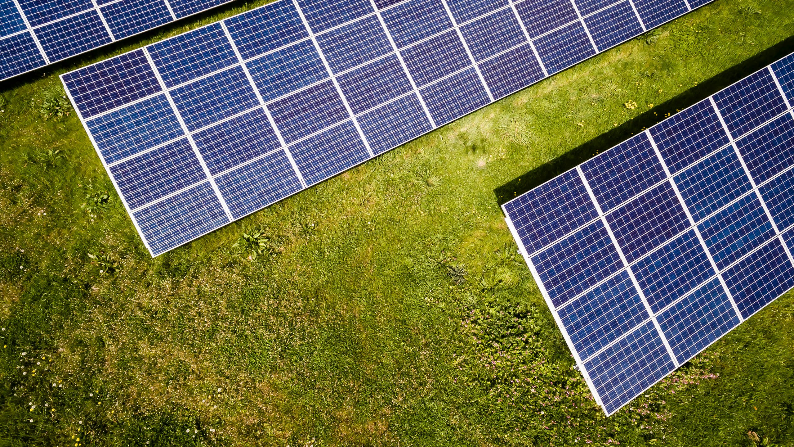 Mogelijke komst zonneveld en windmolens langs A28 in Nijkerk