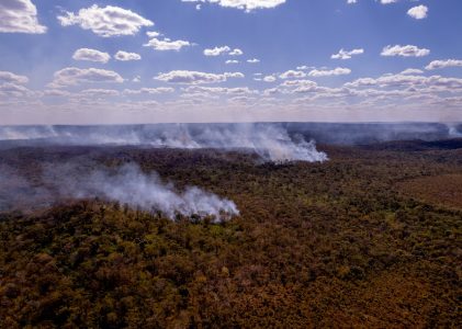 Het Living Planet Report van de WWF(Wereld Natuur Fonds) staat donderdag voor onze deur