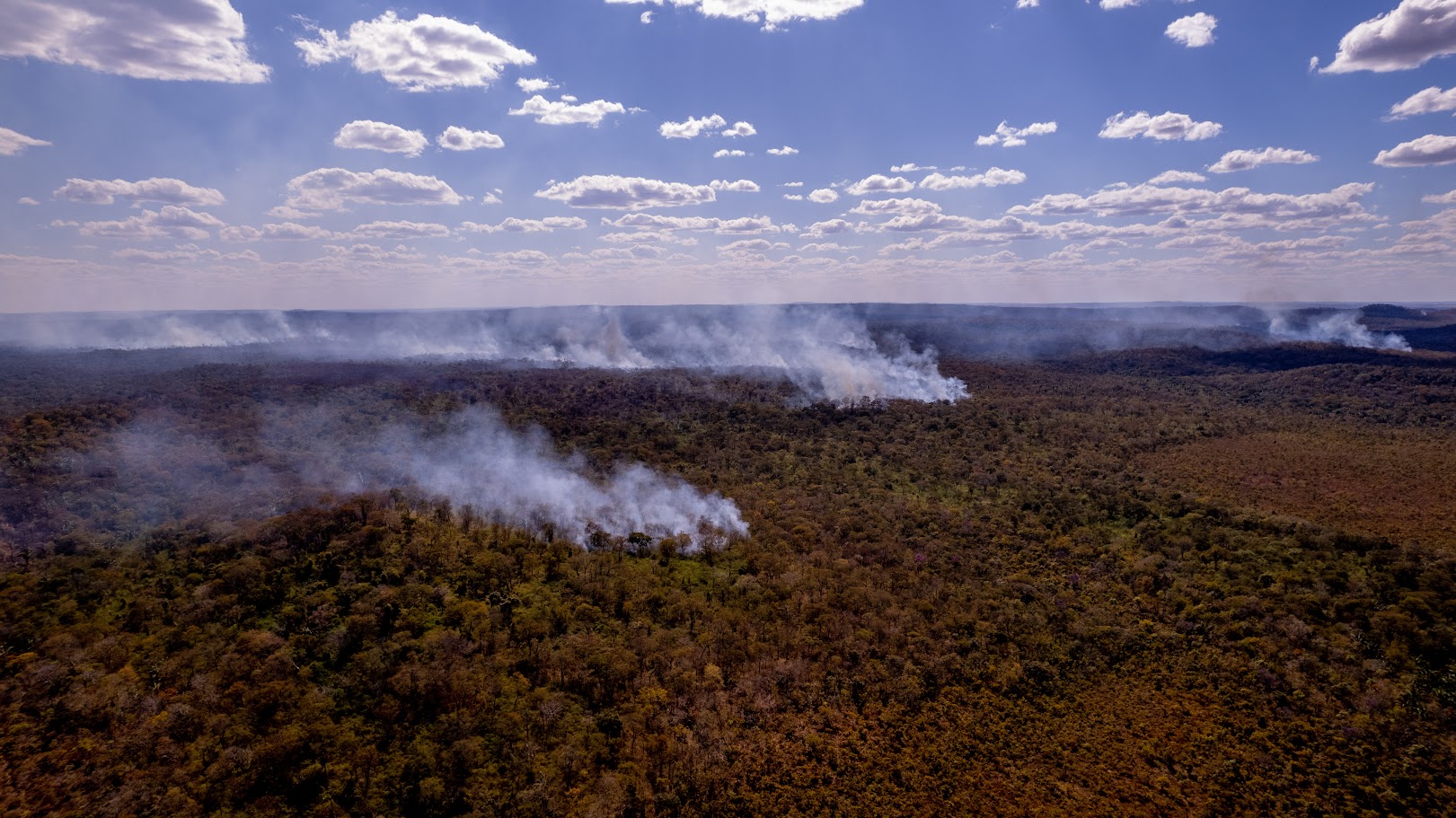 Het Living Planet Report van de WWF(Wereld Natuur Fonds) staat donderdag voor onze deur