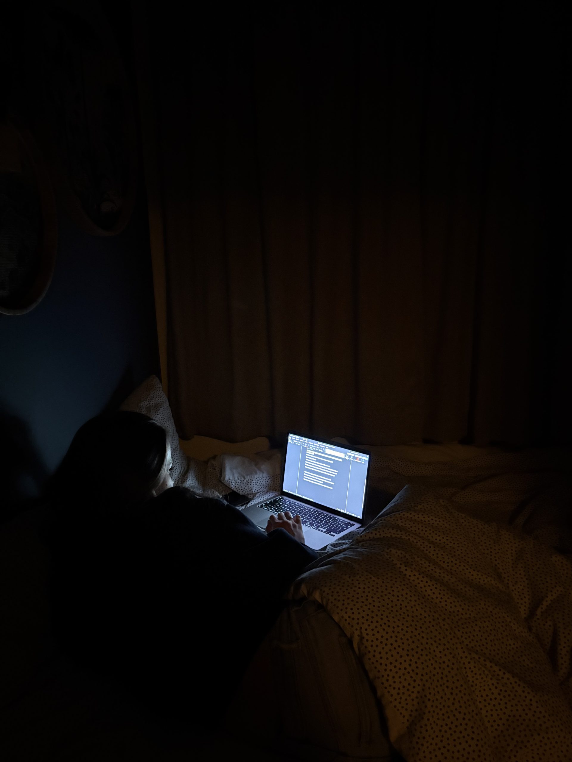Ellen met haar laptop in bed