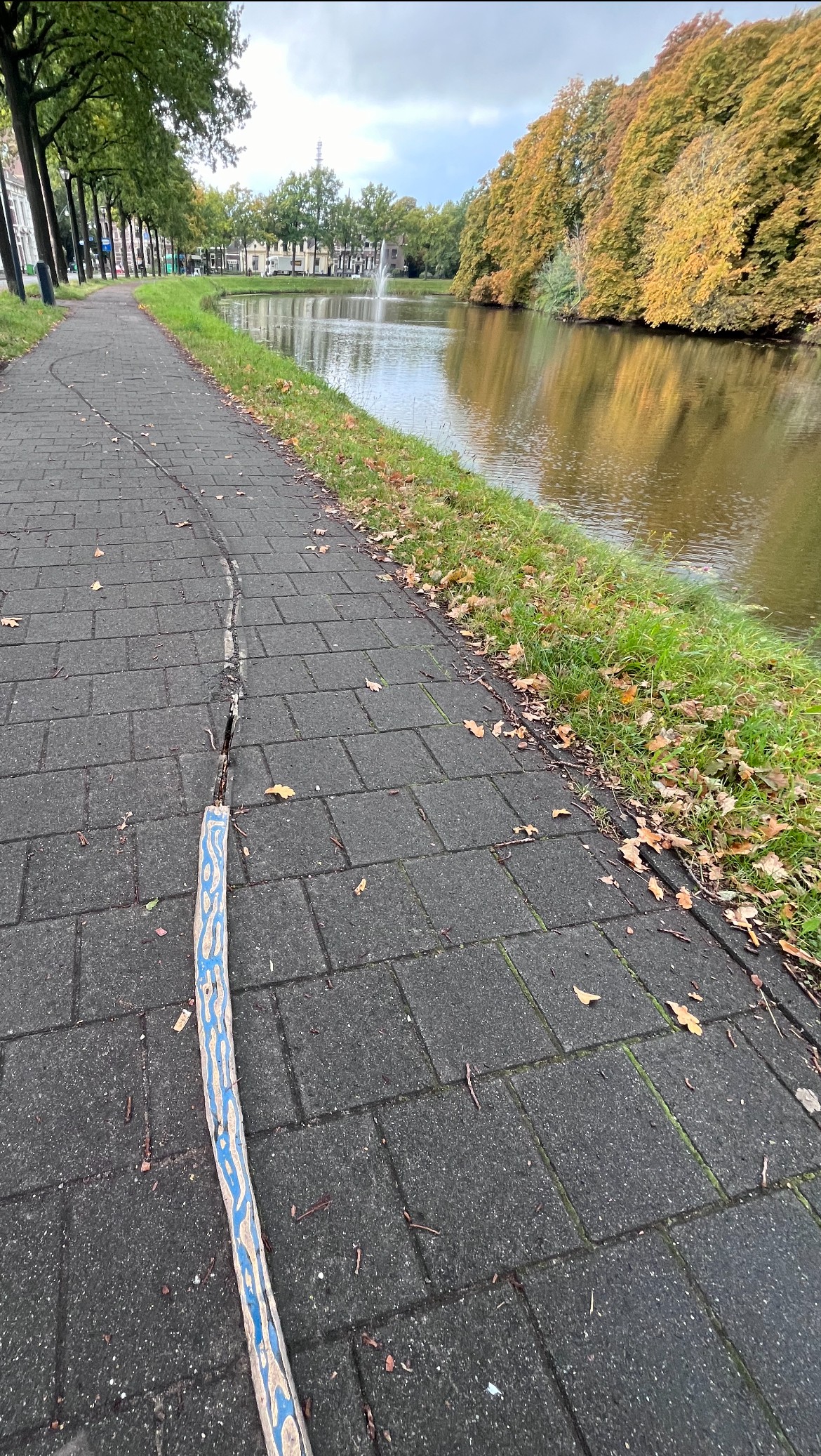 Stationsstraat in Zwolle onveilig gemaakt door vandalisme van kunstdieven