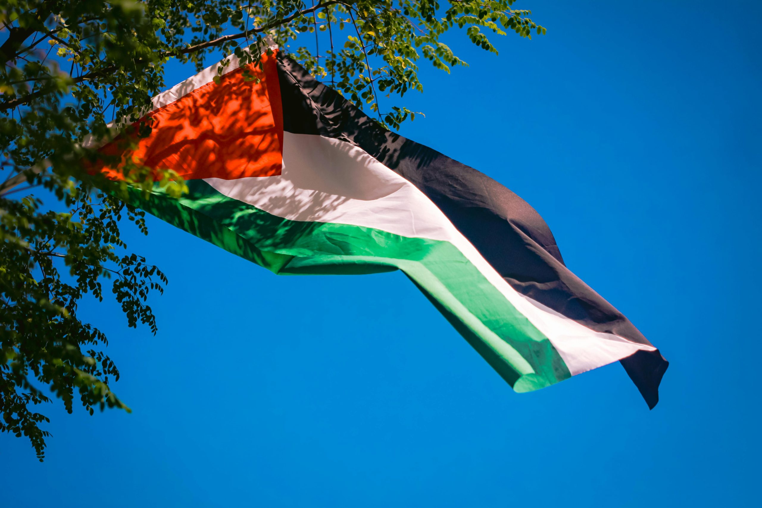 De redenen achter de pro-Palestina demonstratie op 7 oktober 