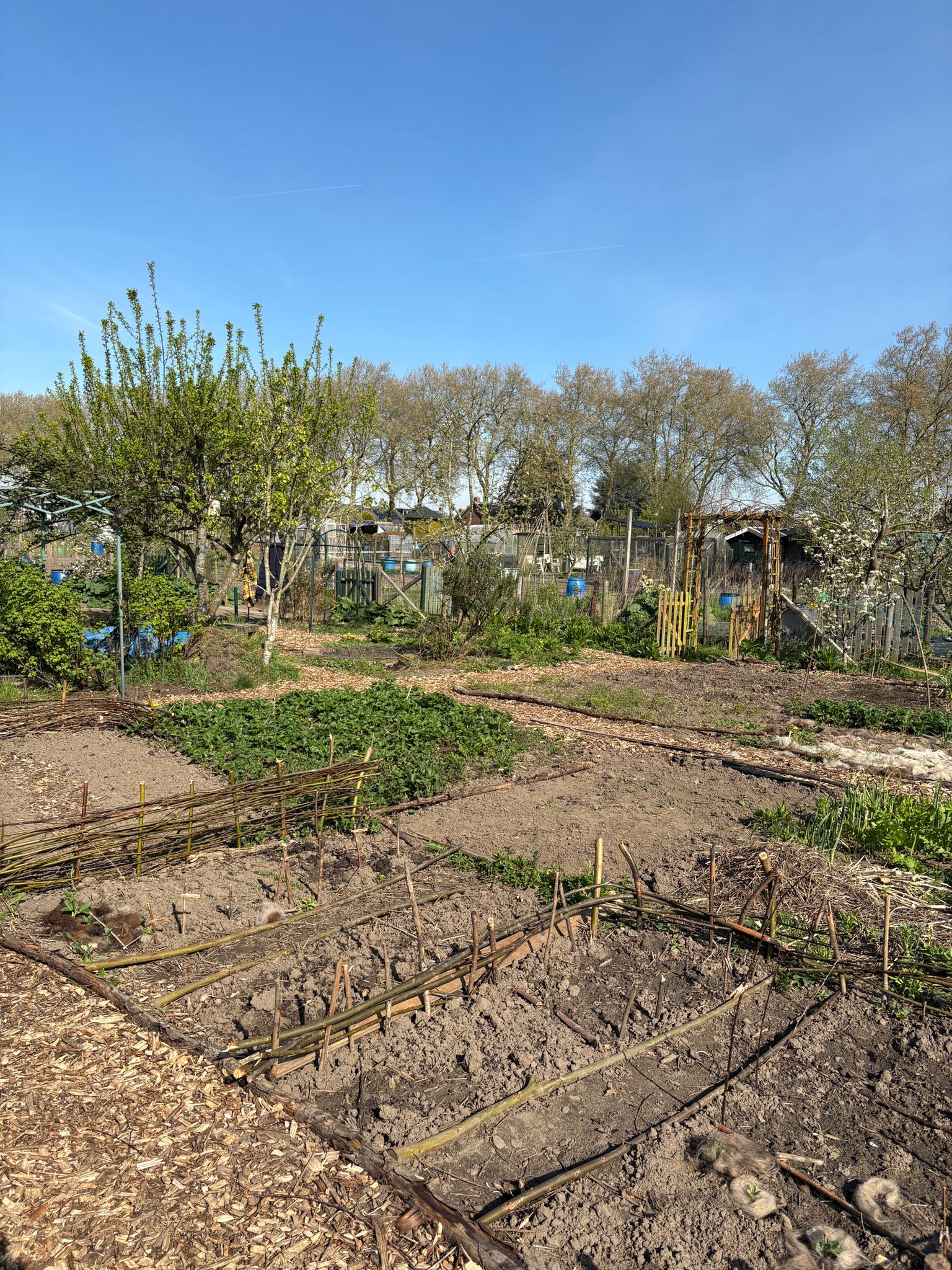 De moestuin als ontmoetingsplek