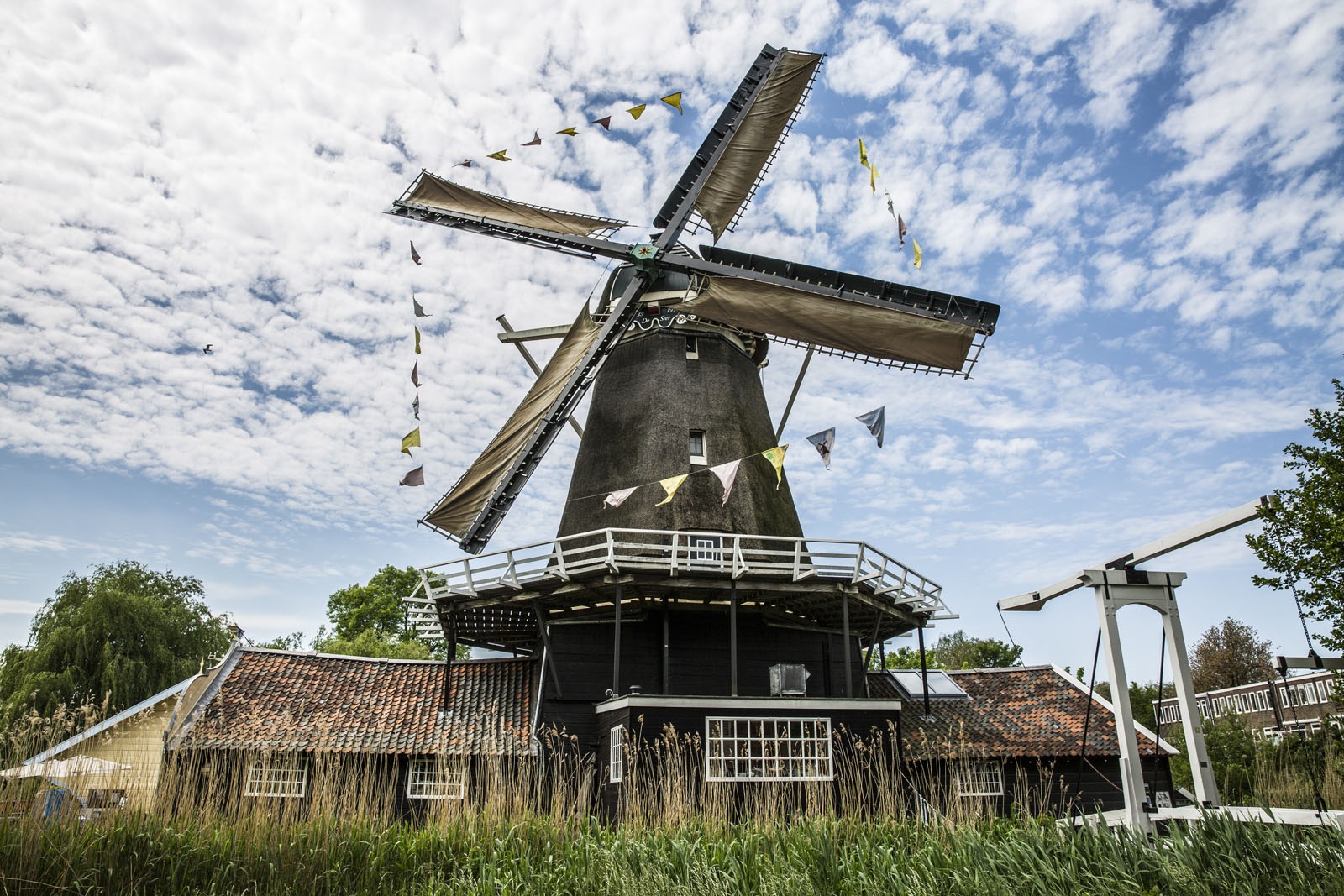 Molen de Ster: levend erfgoed in de stad
